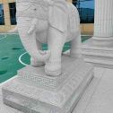 河源 白麻花岗岩动物异形石雕-大象