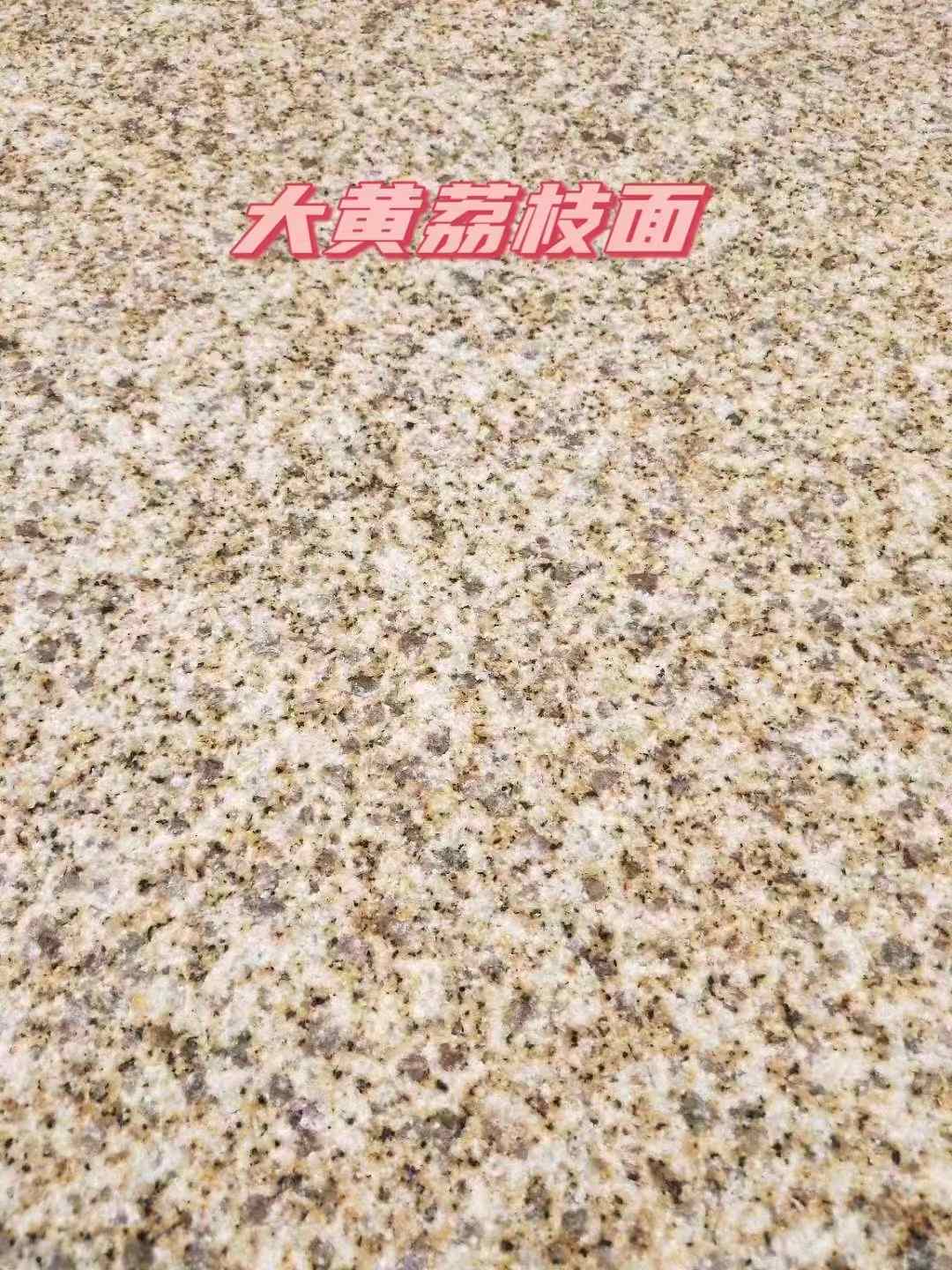河源黄金麻大黄荔枝面