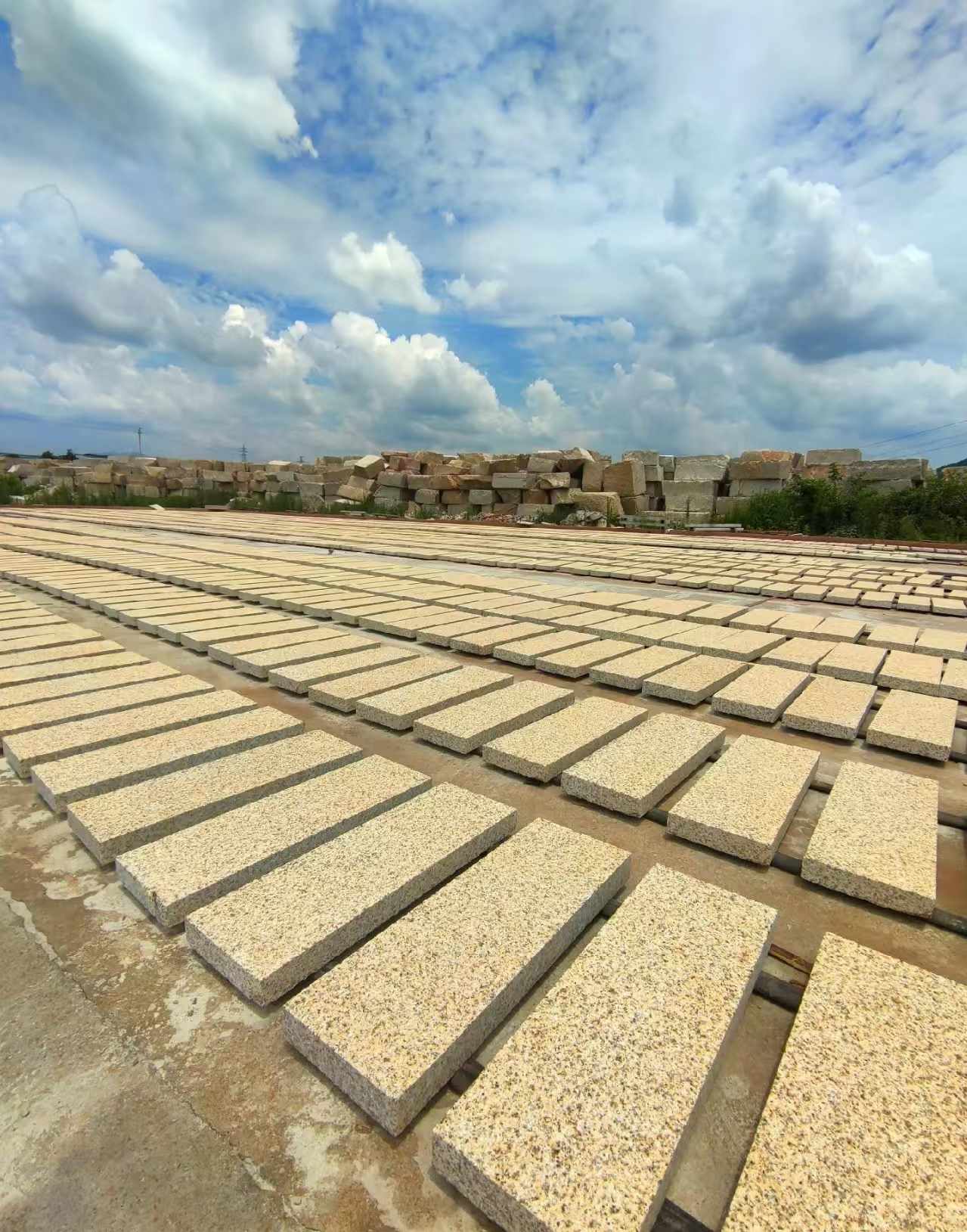 河源 黄金麻荔枝面花岗岩石材地铺石防护中