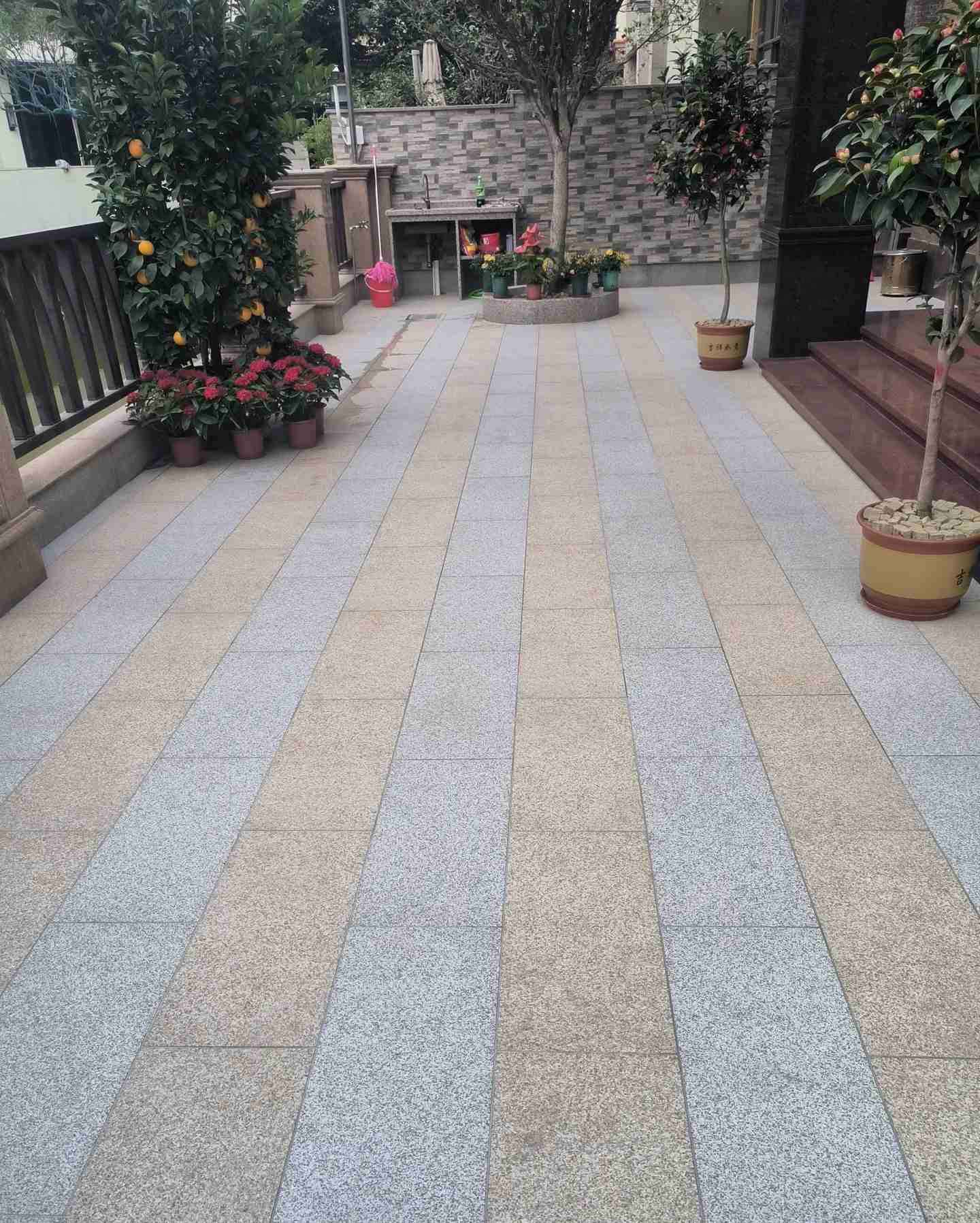 河源 黄金麻白麻荔枝面庭院铺装展示